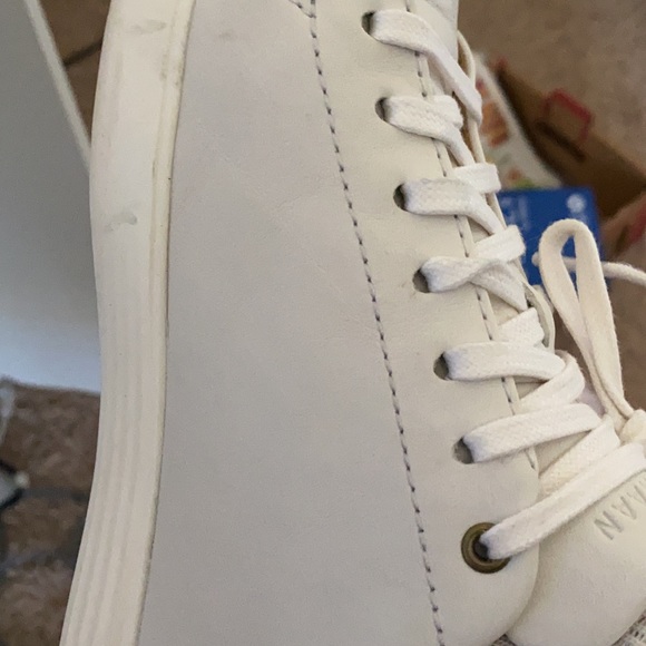 Meet your Posher, Monty - Picture 1 of 1